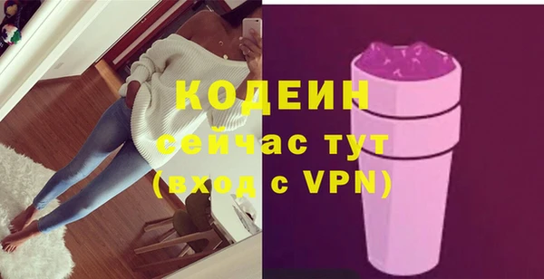 прущий лед Алзамай