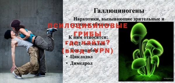 дмт Алексин